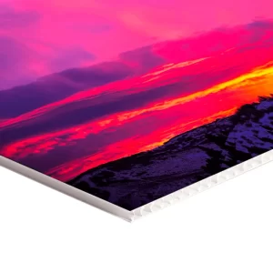 Correx (Fluted PVC Style) Board hover image